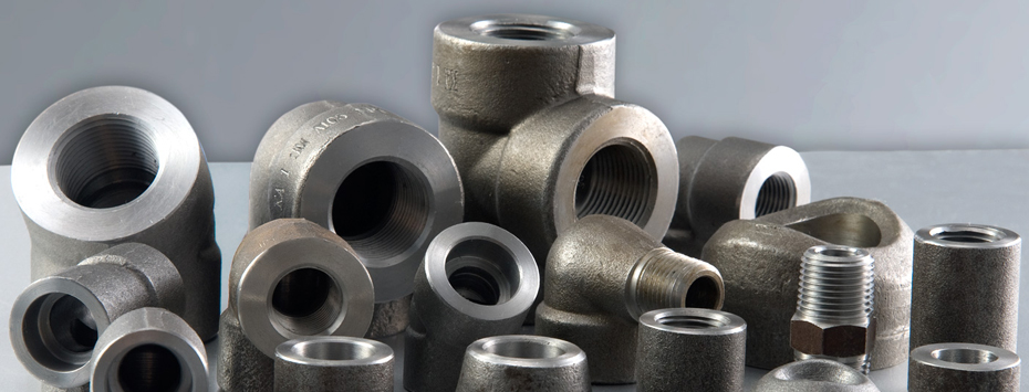 Stainless Steel 304 / 316 Forged Threaded Fittings in India