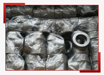 Stainless Steel 304 / 316 Swaged Nippolets in India