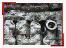 Stainless Steel 304 / 316 Olets in India